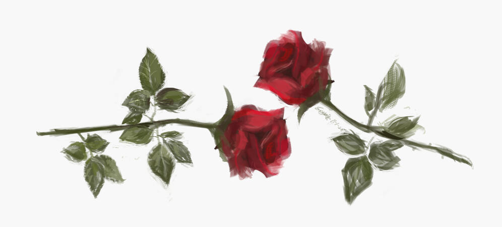 Roses study (Nov. 2020)
